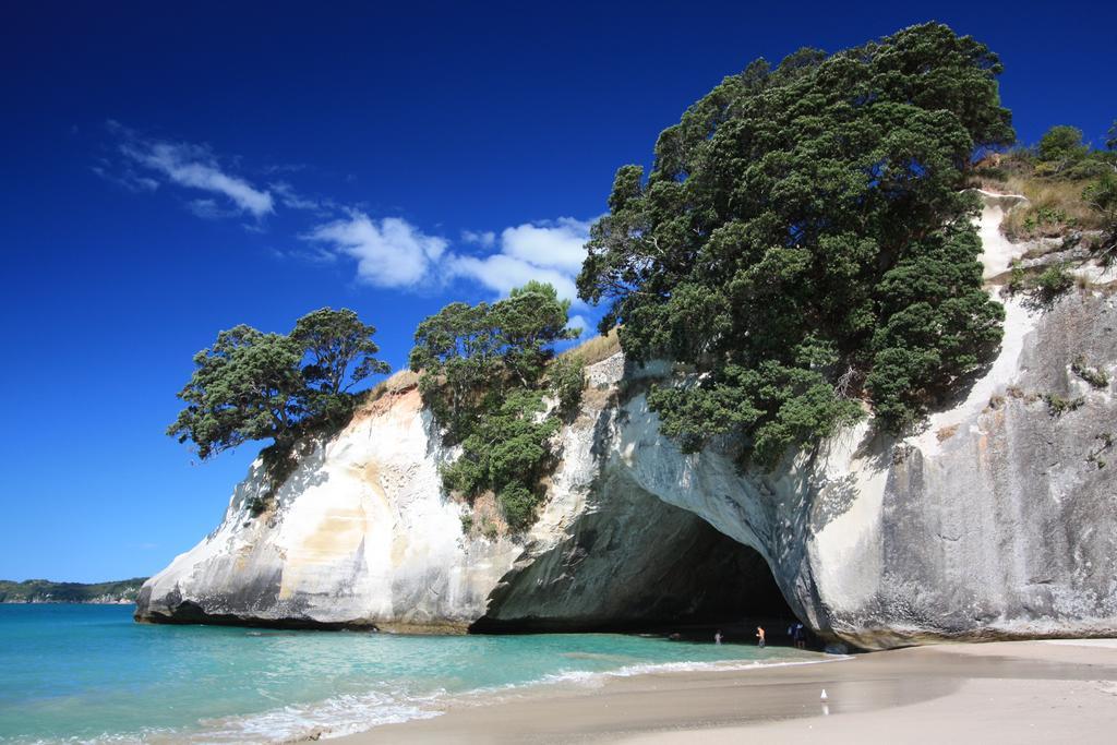 Hot Water Beach Cottage Hotwater Beach Εξωτερικό φωτογραφία